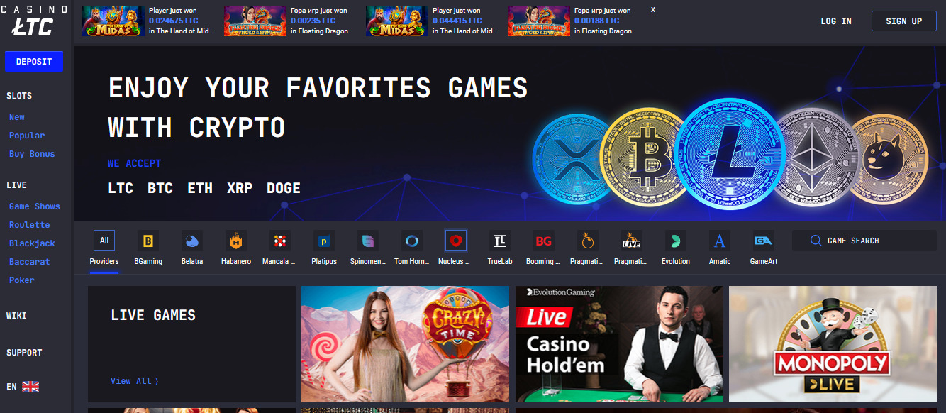 LTC Casino Review