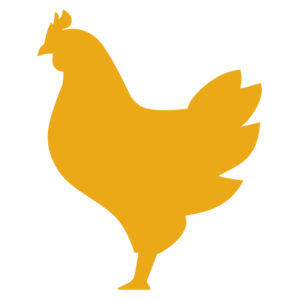 Chicken.gg